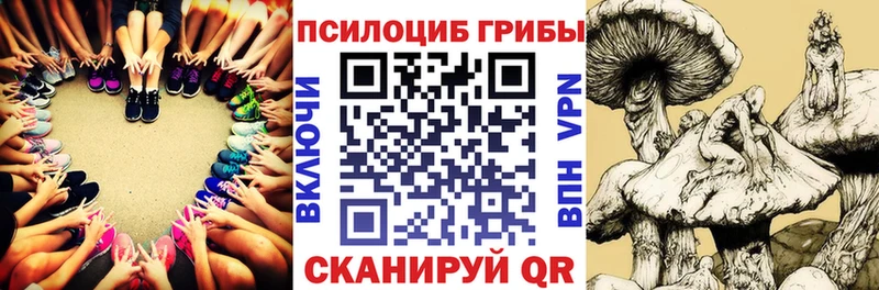 Псилоцибиновые грибы MAGIC MUSHROOMS  Купить закладки  Фрязино 